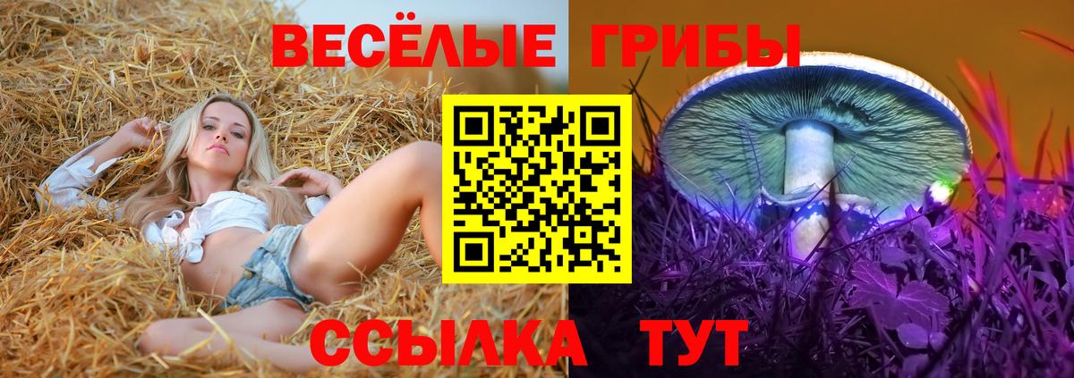 Галлюциногенные грибы мицелий  Вход с VPN  Нефтекамск 